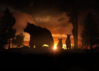 Bears at Dawn