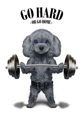 Poodle Dog Weightlifting