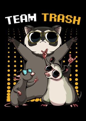 Trash Opossum Raccoon Rat