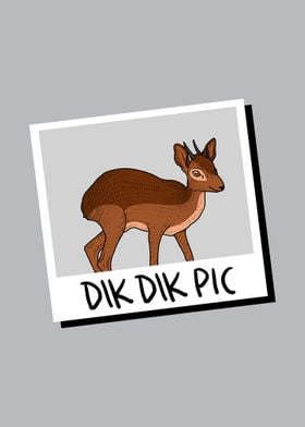 Dik Dik Pic