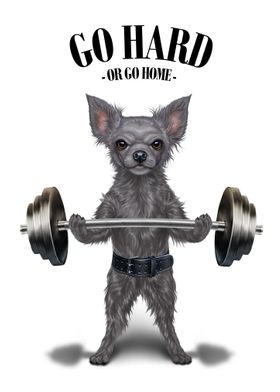 Chihuahua Weightlifting