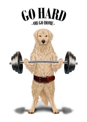 Labrador Dog Weightlifting