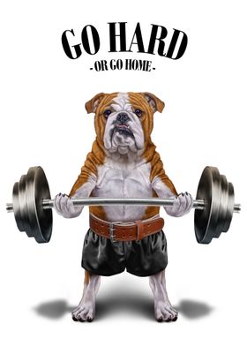 Bulldog Weightlifting