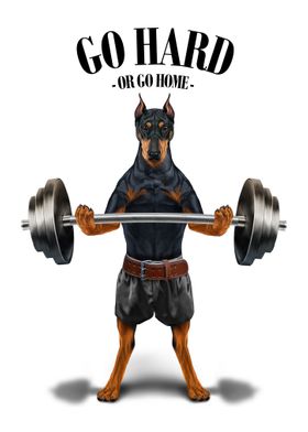 Doberman Weightlifting