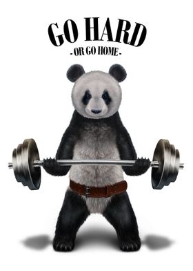 Giant Panda Weightlifting