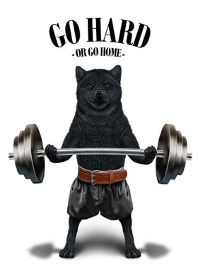 Shiba Dog Weightlifting