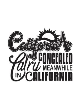 Concealed California