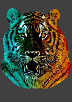 Rainbow Tiger 