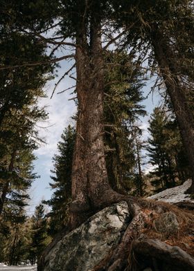 hike in the mountains 