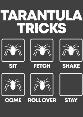 Pet Tarantula Arthropod