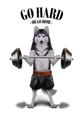 Husky Dog Weightlifting