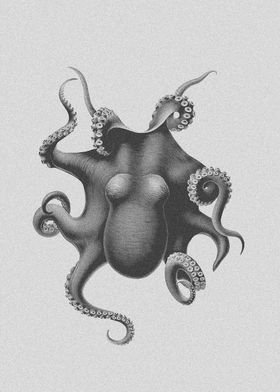 Vintage octopus