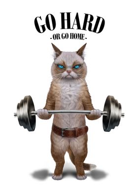 Ragdoll Cat Weightlifting