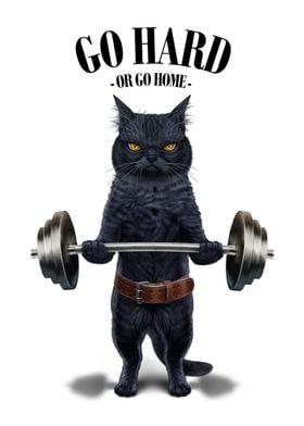 Black Cat Weightlifting