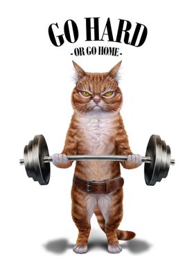 Orange Cat Weightlifting