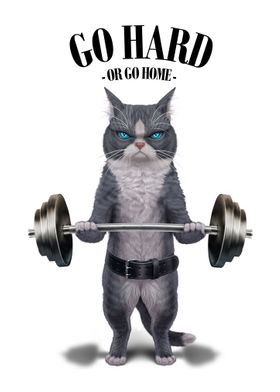 Bicolor Cat Weightlifting