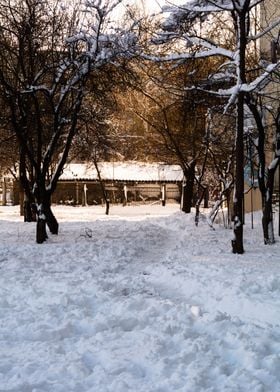 Urban winter landscape