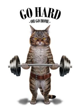 Tabby Cat Weightlifting