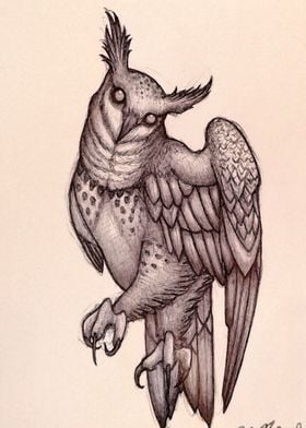 owl 2 