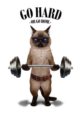 Siamese Cat Weightlifting