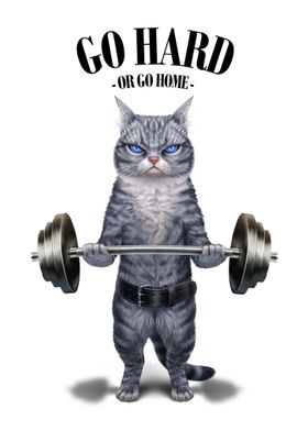 Grey Cat Weightlifting