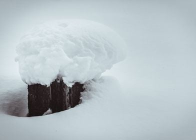 Snow cap on the tree stump