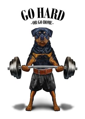 Rottweiler Weightlifting