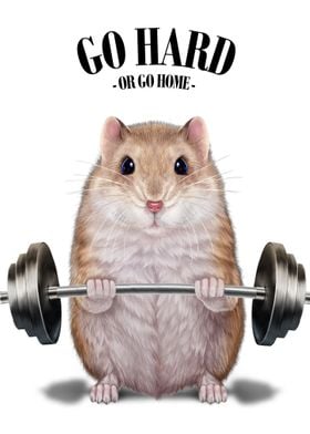 Hamster Weightlifting