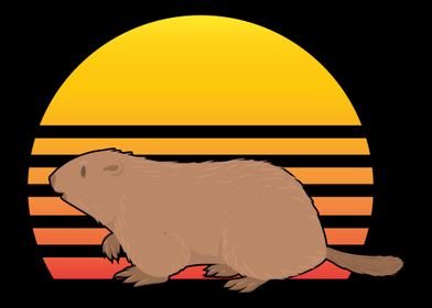 Marmot Retro Sunset Marmot