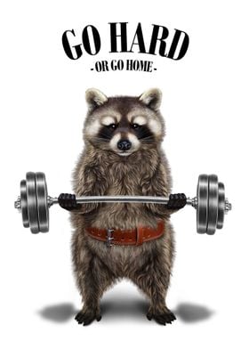 Raccoon Weightlifting