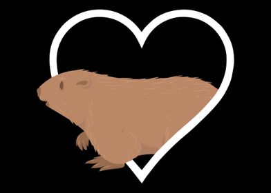 Marmot Heart Marmot Animal