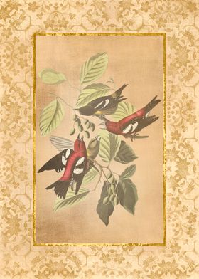 Antique Birds and Flowers