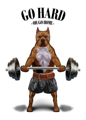 Pit Bull Dog Weightlifting