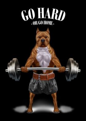 Pit Bull Dog Weightlifting