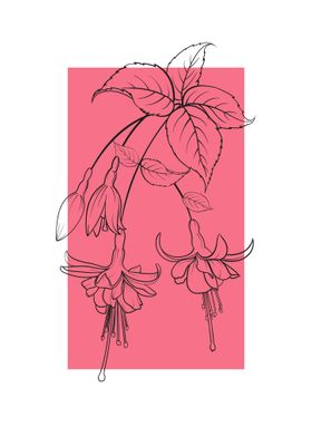 Flowers Botanical Nature-preview-0