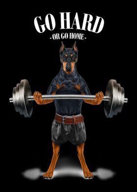 Doberman Weightlifting