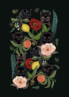 Botanical and Black Cats