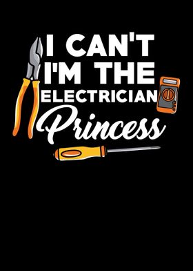 Im The Electrician Princes