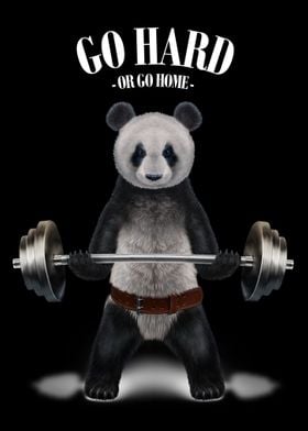 Giant Panda Weightlifting