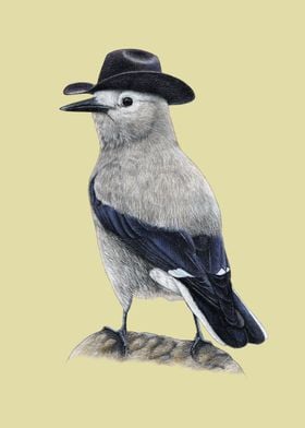 Clarks nutcracker