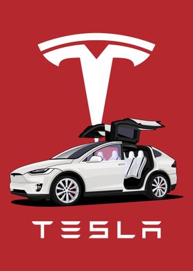 Tesla Model X White