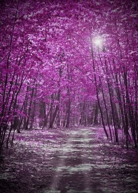 Moonlit Purple Forest