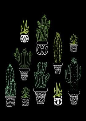 Cactus Species