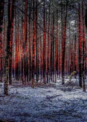 Trees in the woods