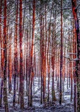 Trees in the woods