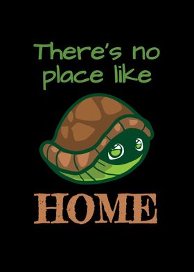 Turtle Nothing Like Home