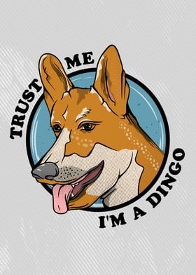 Dingo