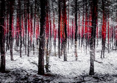 Red Trees in the woods