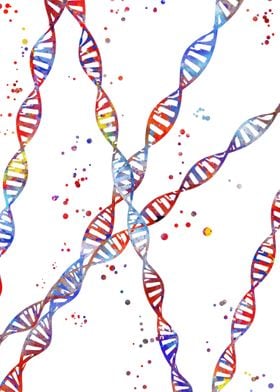 DNA molecule 