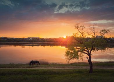 Idyllic rural landscape